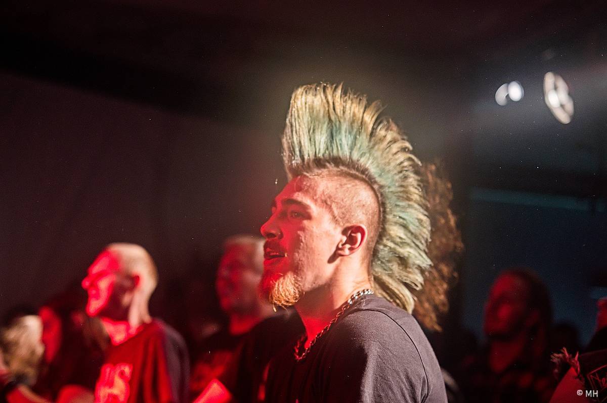 God Save the Punk! The Fialky a SPS dorazili na společném turné do Plzně