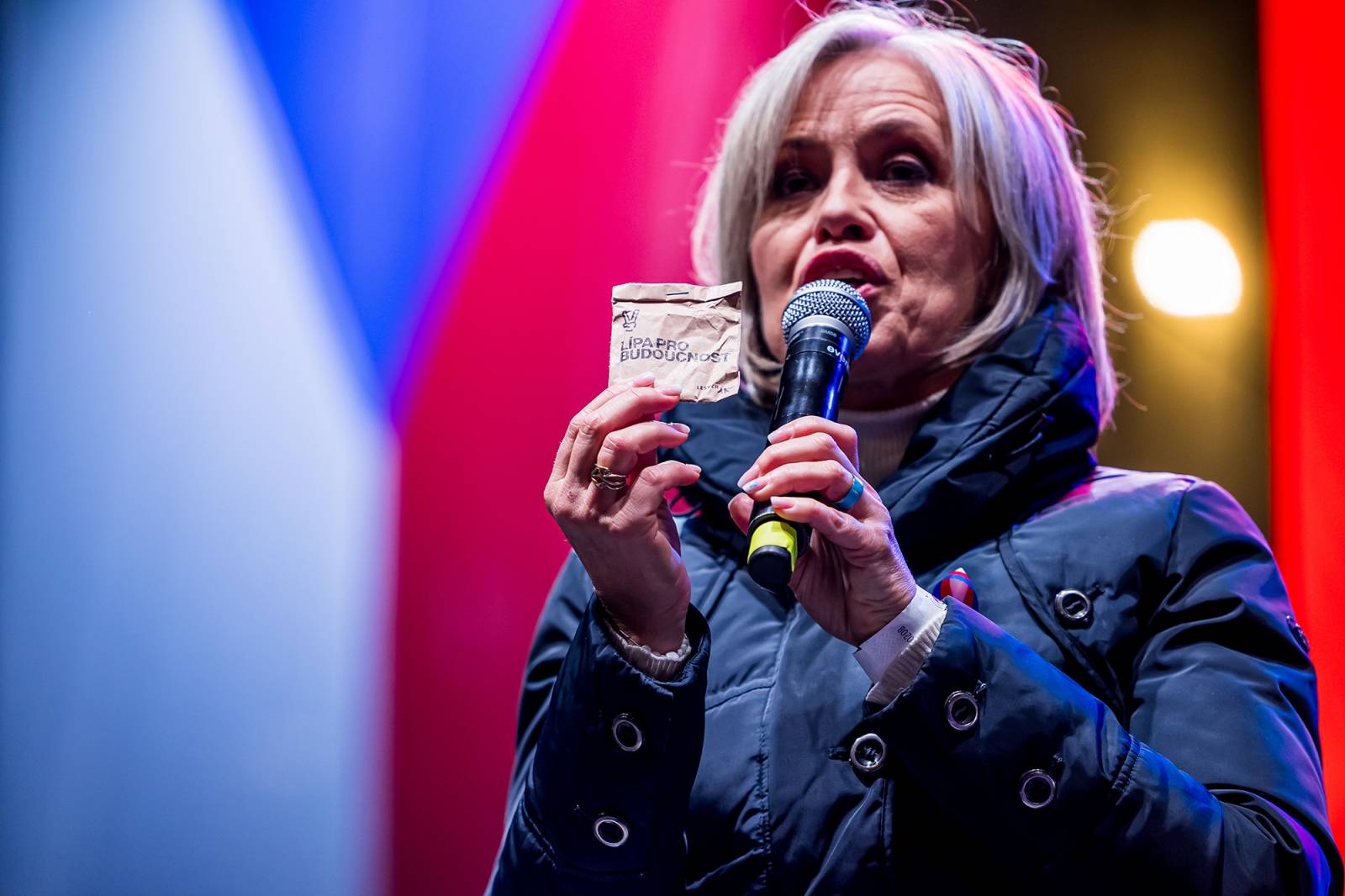 Oslavy sametové revoluce vyvrcholily na Václavském náměstí vystoupeními Davida Kollera, Tata Bojs nebo Ivana Hlase