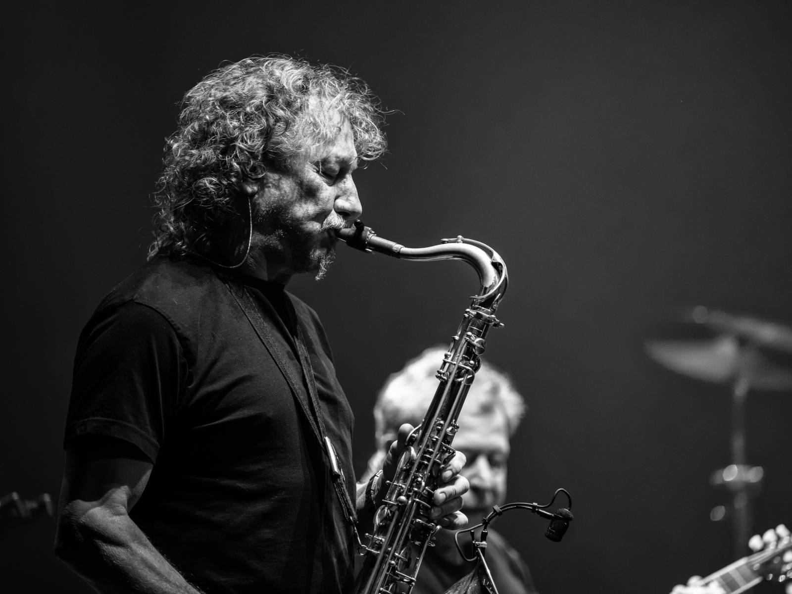 The Animals, Creedence Clearwater a Flamengo vyprodali Divadlo Hybernia