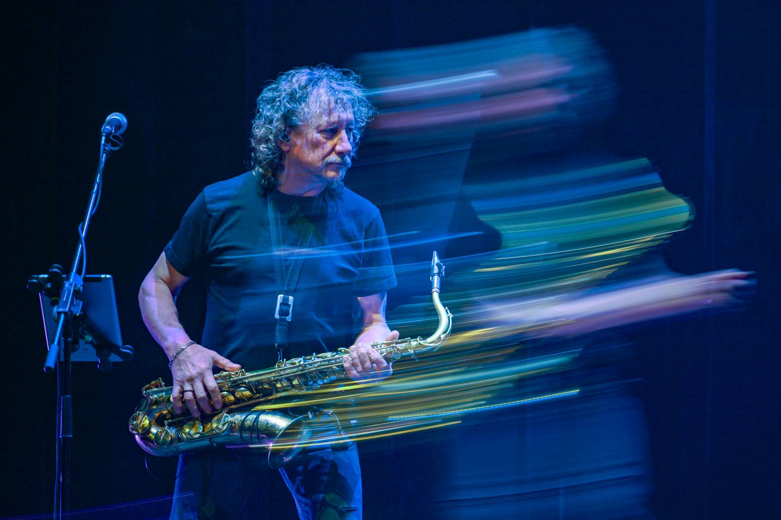 The Animals, Creedence Clearwater a Flamengo vyprodali Divadlo Hybernia