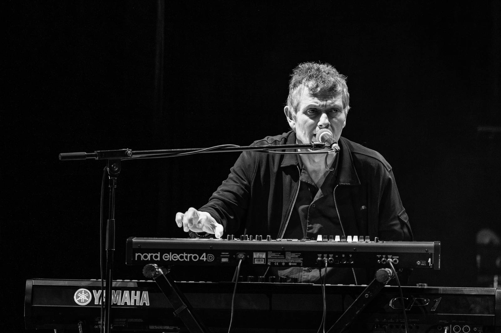 The Animals, Creedence Clearwater a Flamengo vyprodali Divadlo Hybernia