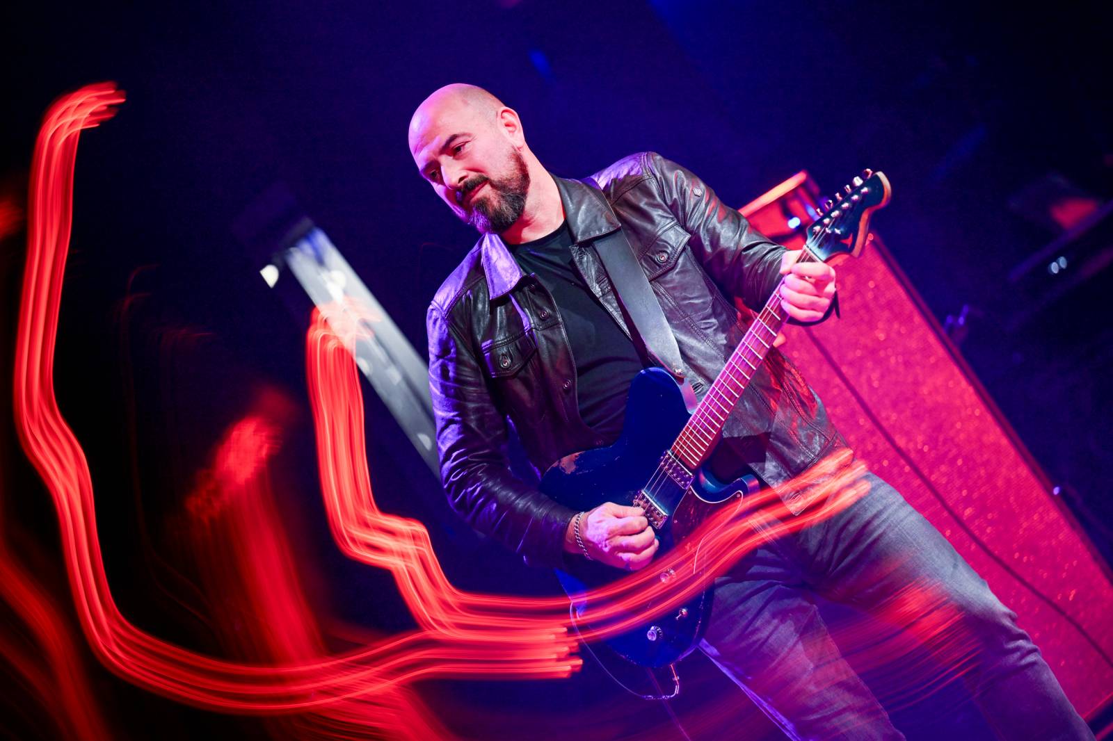 The Animals, Creedence Clearwater a Flamengo vyprodali Divadlo Hybernia