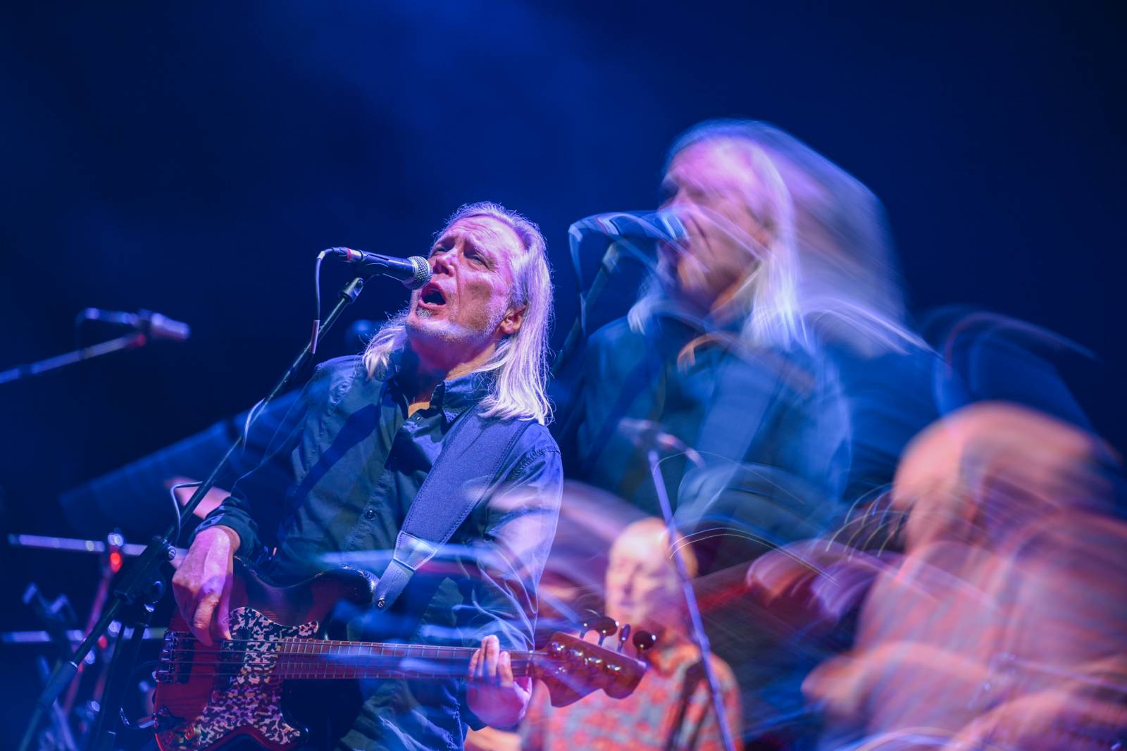 The Animals, Creedence Clearwater a Flamengo vyprodali Divadlo Hybernia