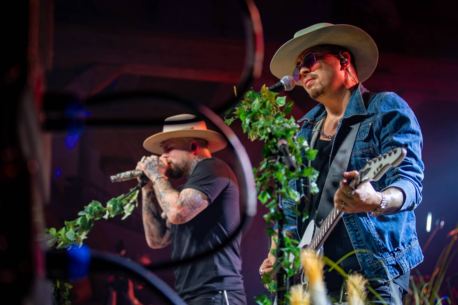 Žebřík poznal vítěze 33. ročníku. Ceny si převzali Chinaski, Monkey Business, Marpo či festival Rock for People