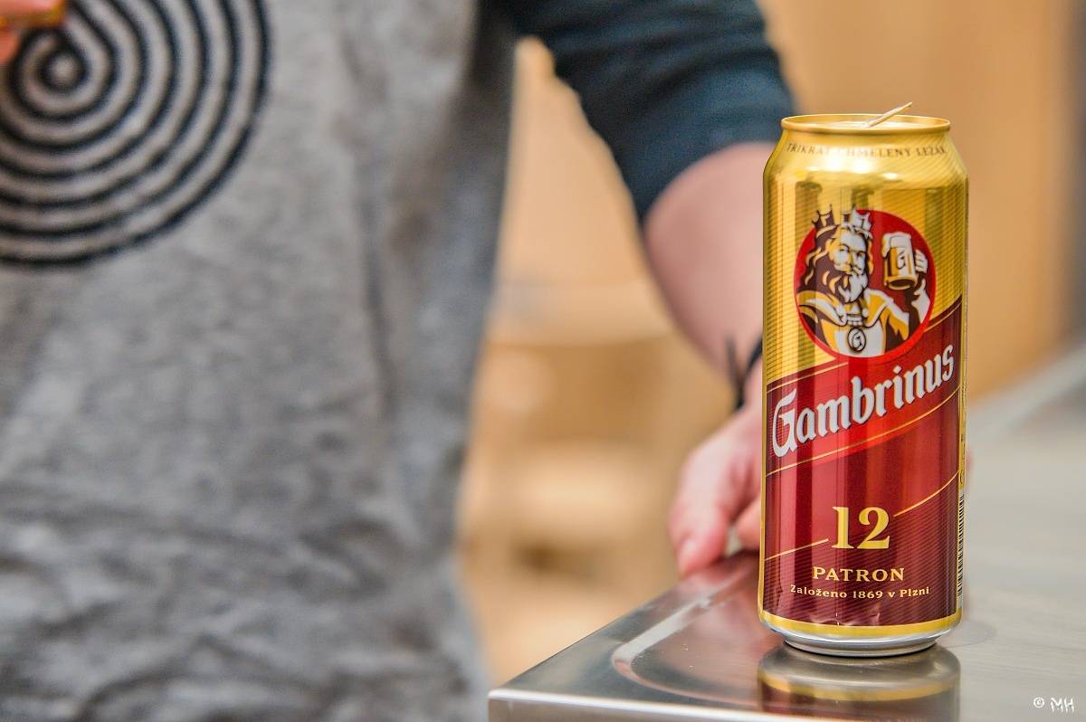 Žebřík oslavil Kristova léta s Rockovým Ježíšem Kamilem Střihavkou. Vystoupili také Marpo a Pan Lynx