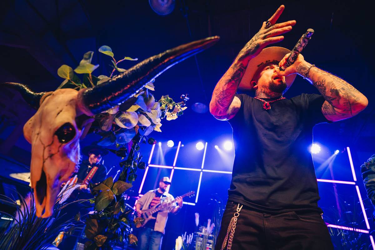 Žebřík ovládli Monkey Business, Marpo a Chinaski, zazpívali Kamil Střihavka i Pan Lynx