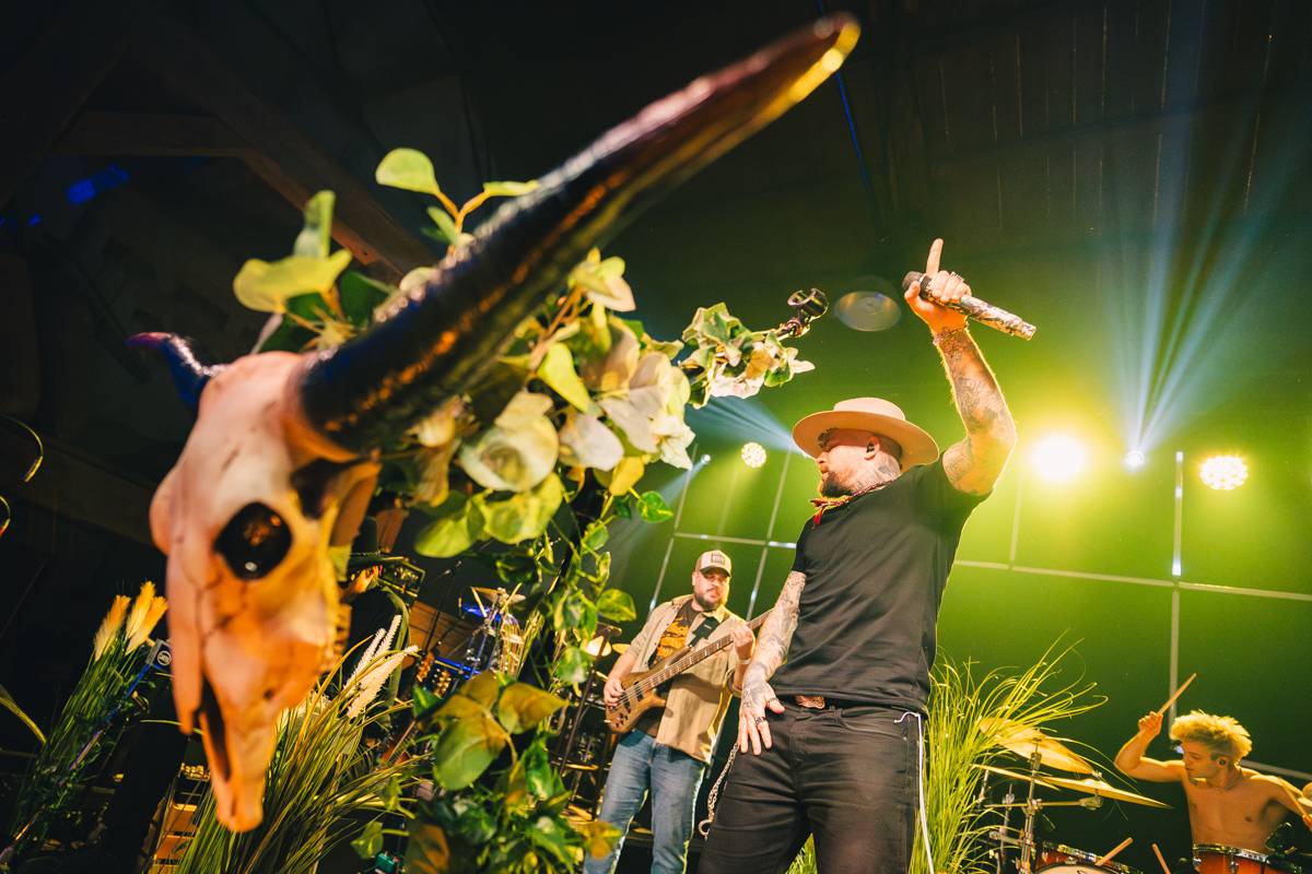 Žebřík ovládli Monkey Business, Marpo a Chinaski, zazpívali Kamil Střihavka i Pan Lynx