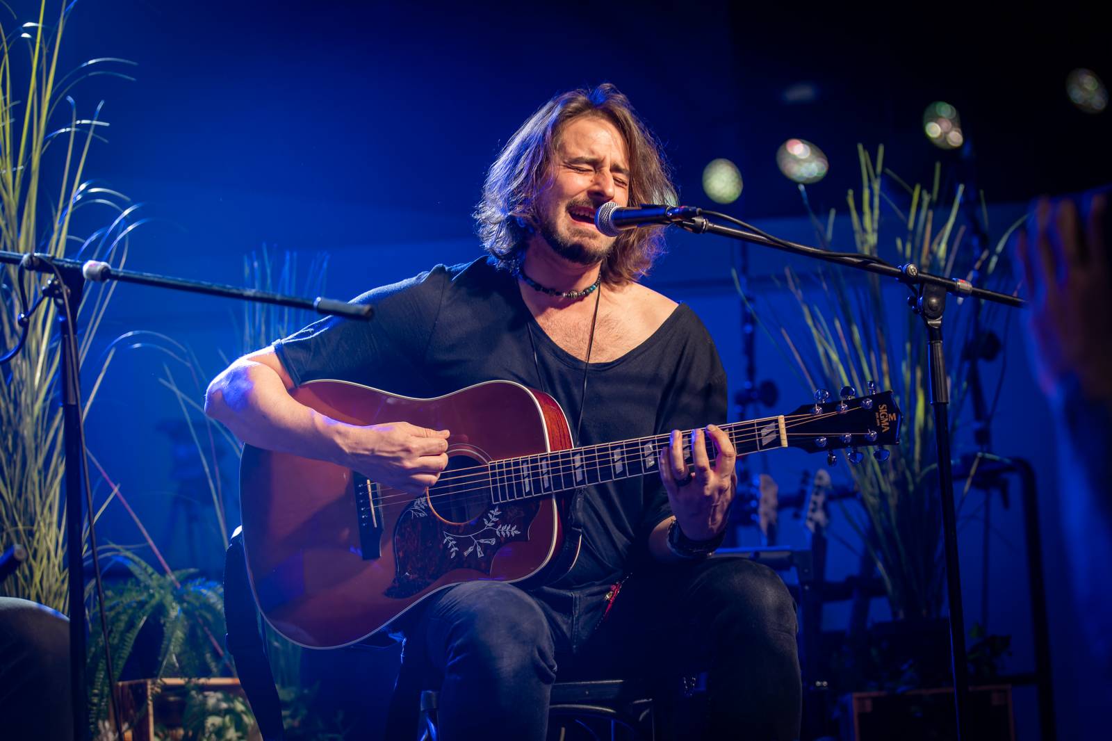 Žebřík ozdobili exkluzivním koncertem Kamil Střihavka s Bárou Basikovou, Danem Bártou a Michalem Pavlíčkem