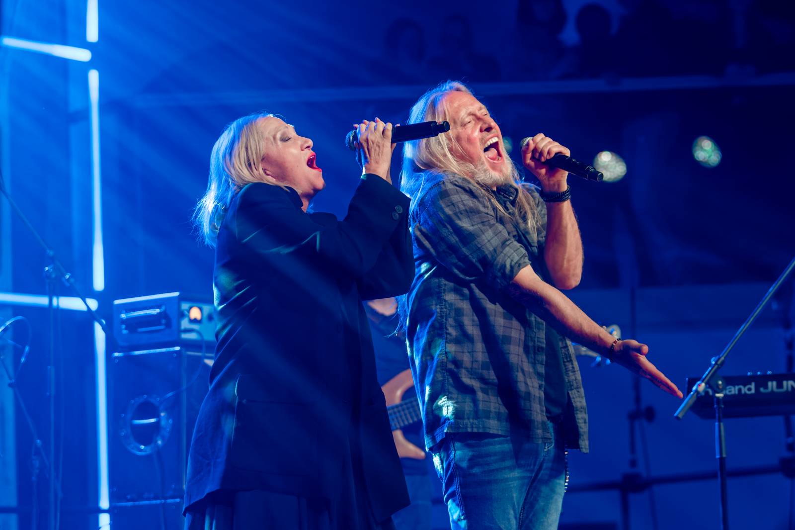 Žebřík ozdobili exkluzivním koncertem Kamil Střihavka s Bárou Basikovou, Danem Bártou a Michalem Pavlíčkem