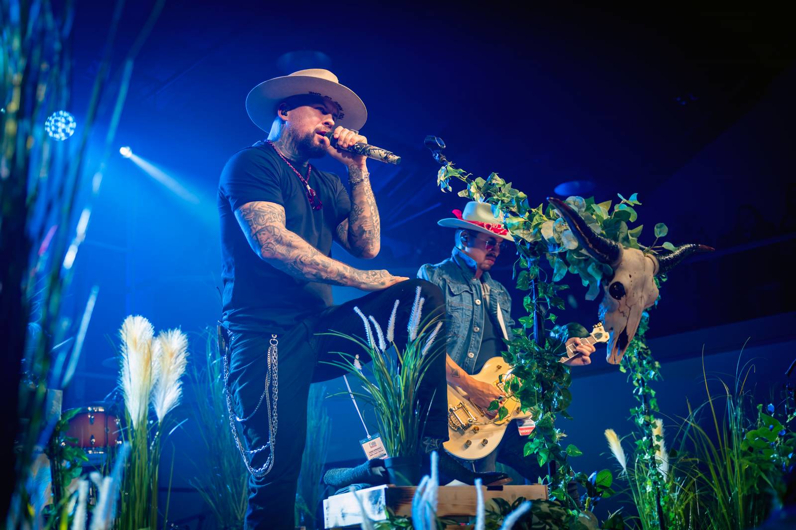 Žebřík ozdobili exkluzivním koncertem Kamil Střihavka s Bárou Basikovou, Danem Bártou a Michalem Pavlíčkem