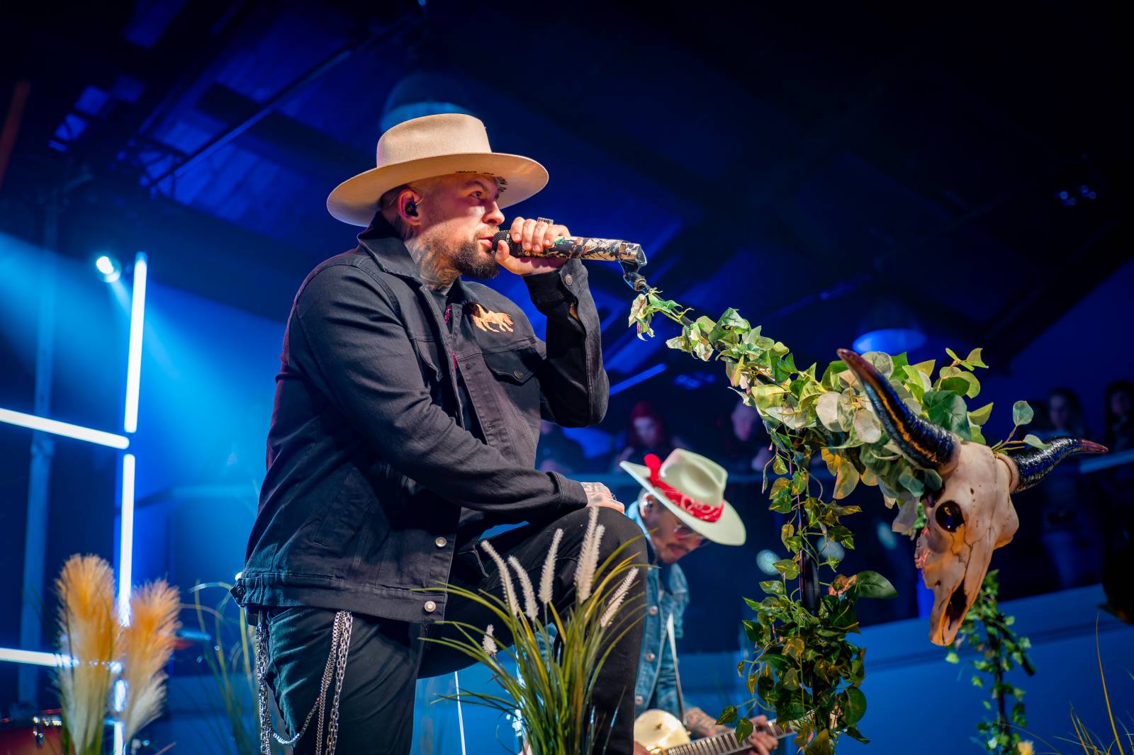 Žebřík ozdobili exkluzivním koncertem Kamil Střihavka s Bárou Basikovou, Danem Bártou a Michalem Pavlíčkem