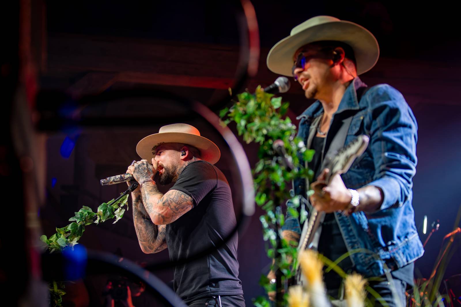 Žebřík ozdobili exkluzivním koncertem Kamil Střihavka s Bárou Basikovou, Danem Bártou a Michalem Pavlíčkem