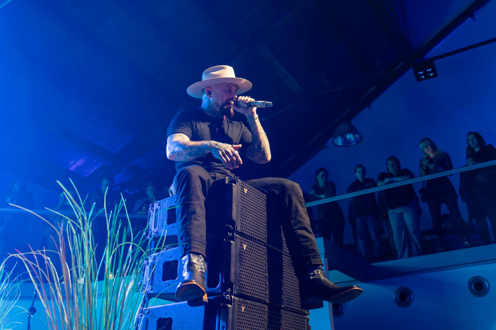 Žebřík ozdobili exkluzivním koncertem Kamil Střihavka s Bárou Basikovou, Danem Bártou a Michalem Pavlíčkem