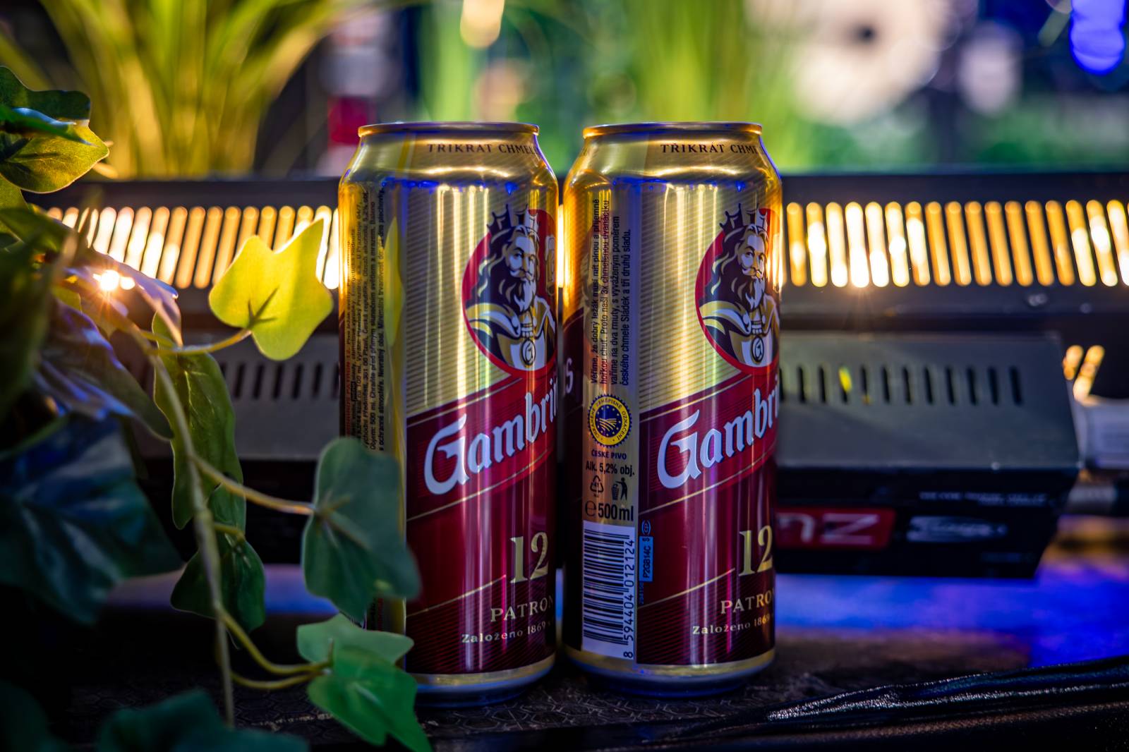 Žebřík ozdobili exkluzivním koncertem Kamil Střihavka s Bárou Basikovou, Danem Bártou a Michalem Pavlíčkem