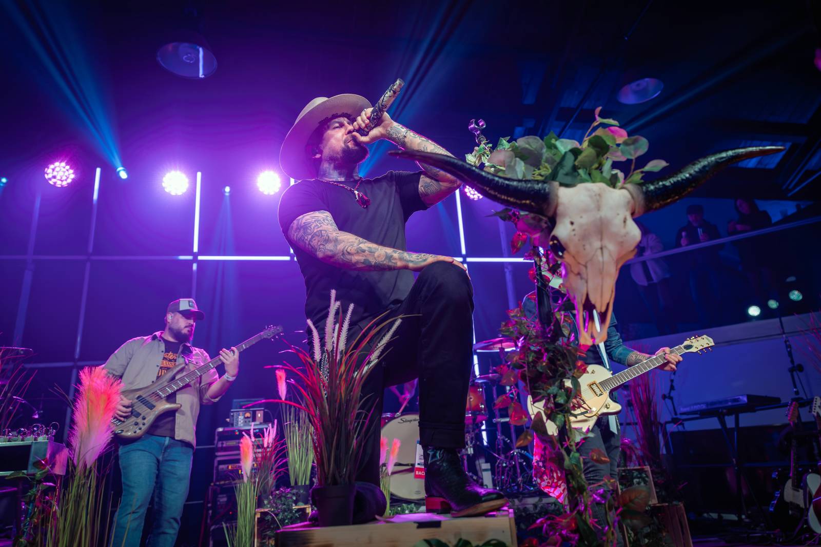 Žebřík ozdobili exkluzivním koncertem Kamil Střihavka s Bárou Basikovou, Danem Bártou a Michalem Pavlíčkem