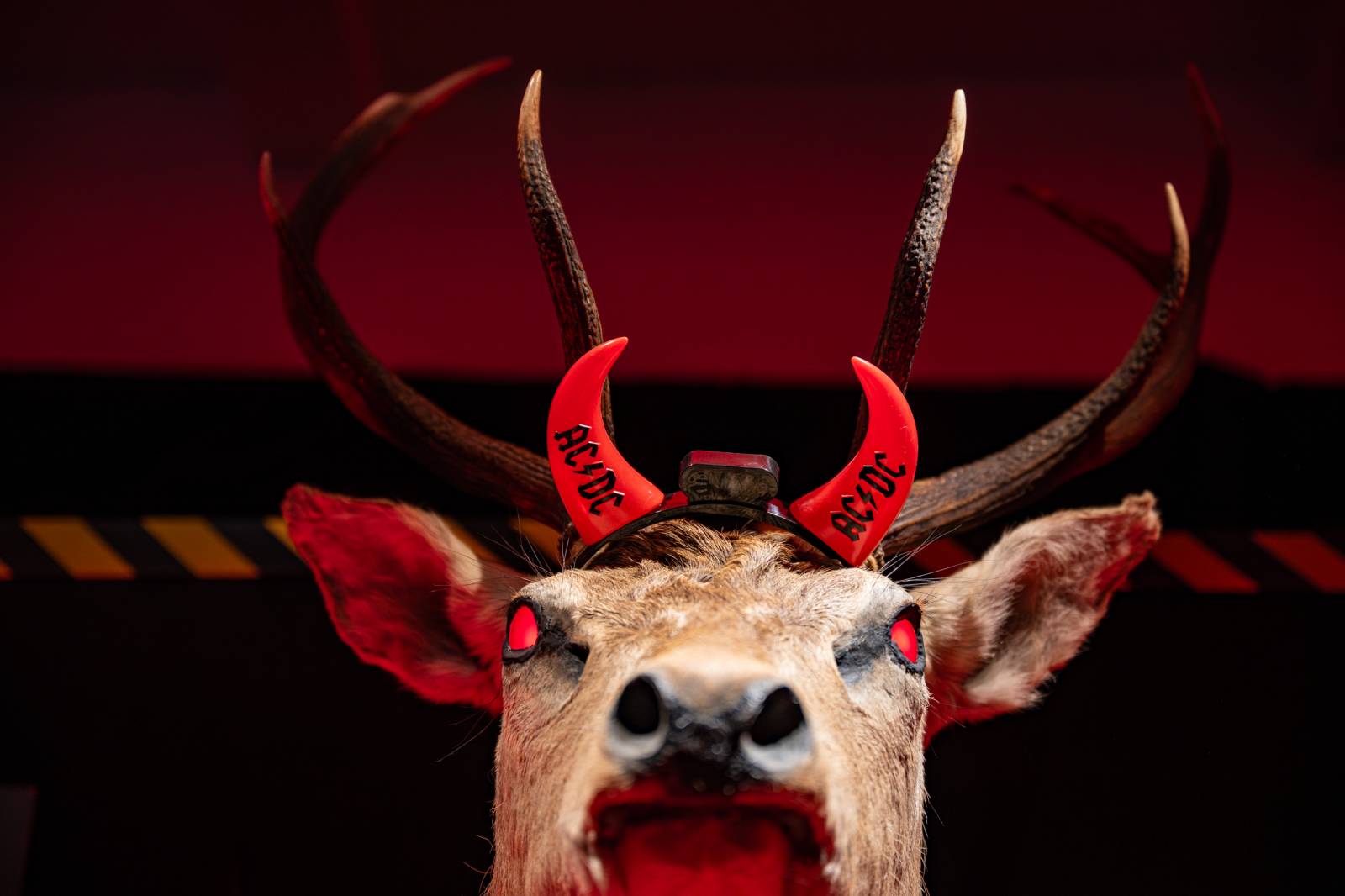 AC/DC otevřeli v Praze svůj bar. V nabídce jsou tematické drinky i vytetování loga kapely zdarma