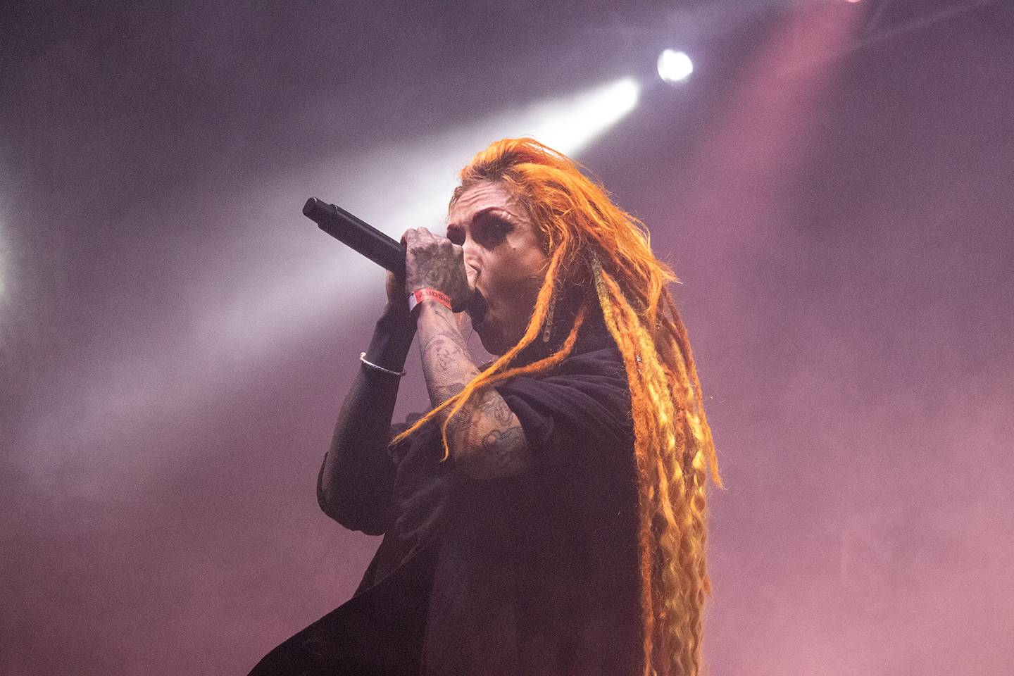 Basinfirefest odstartoval. Pačess, Stellaris, Exodus, Vader nebo Hatebreed rozproudili Spálené Poříčí