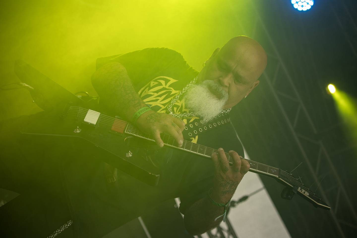 Doro, Tiamat nebo Steve'n'Seagulls. Basinfirefest v pátek nabídl dechberoucí show