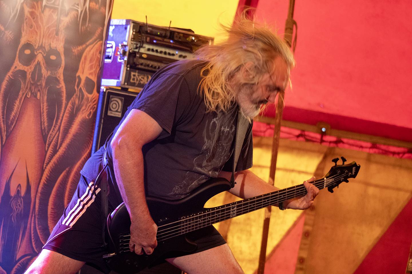 Doro, Tiamat nebo Steve'n'Seagulls. Basinfirefest v pátek nabídl dechberoucí show