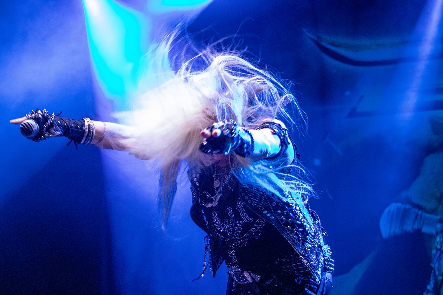 Doro, Tiamat nebo Steve'n'Seagulls. Basinfirefest v pátek nabídl dechberoucí show