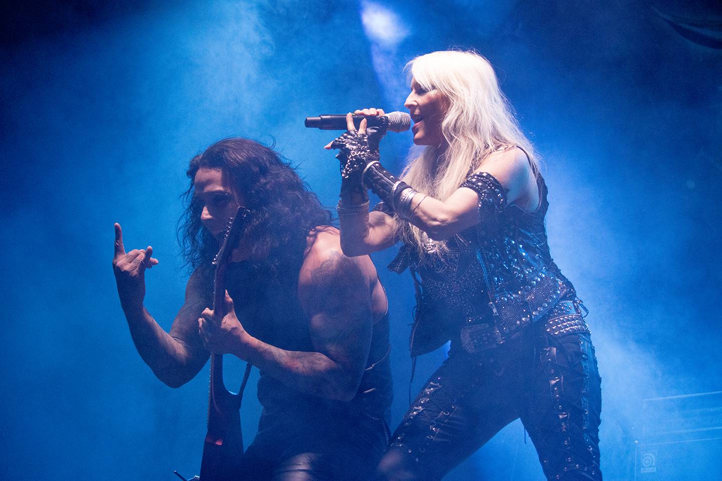 Doro, Tiamat nebo Steve'n'Seagulls. Basinfirefest v pátek nabídl dechberoucí show