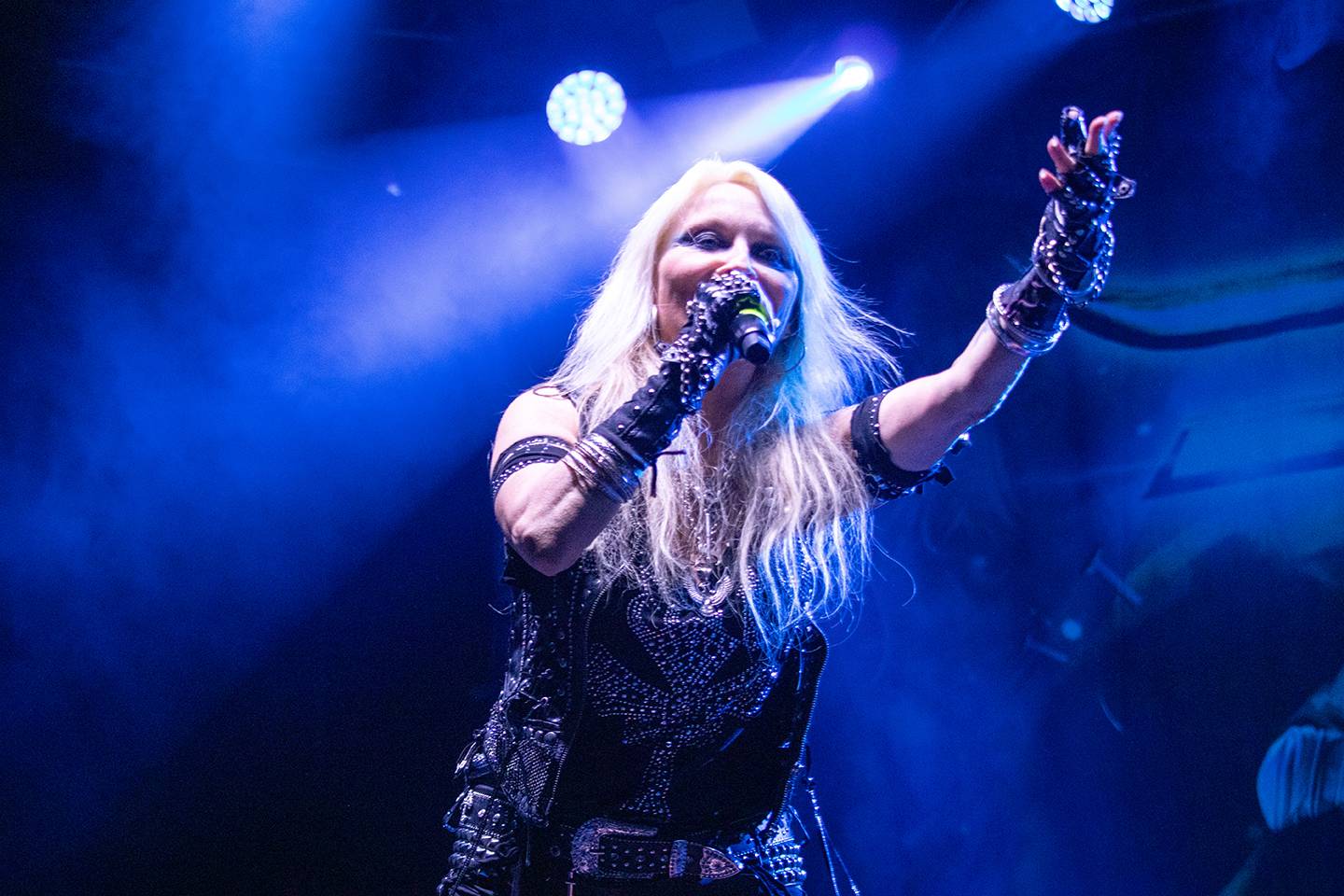 Doro, Tiamat nebo Steve'n'Seagulls. Basinfirefest v pátek nabídl dechberoucí show