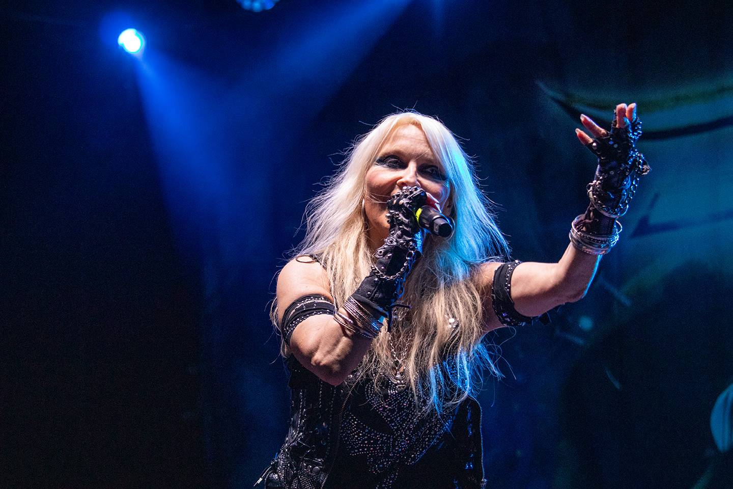 Doro, Tiamat nebo Steve'n'Seagulls. Basinfirefest v pátek nabídl dechberoucí show
