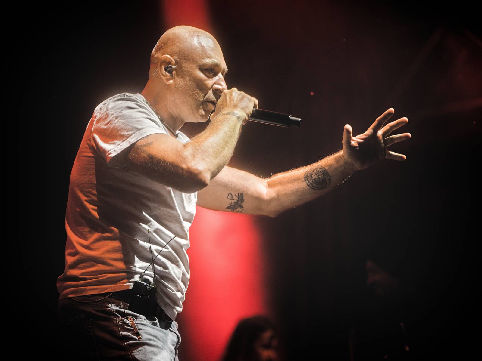 Vysočina Fest vyvrcholil koncerty kapel Jelen, Iné Kafe a Vesna