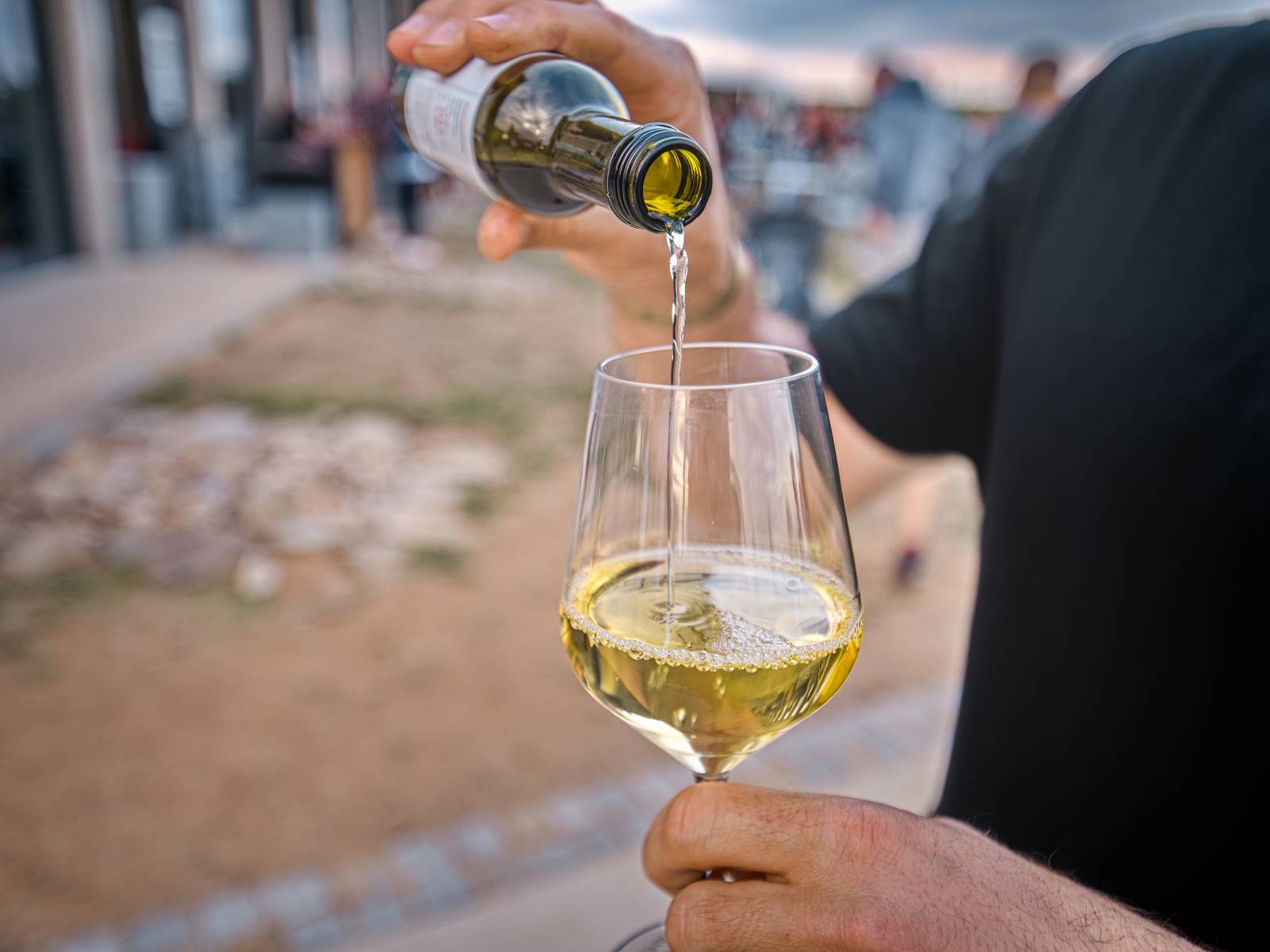 Hudba na vinicích přivezla do Znojma kapelu Jelen a zpěvačku Adélu Orlovou