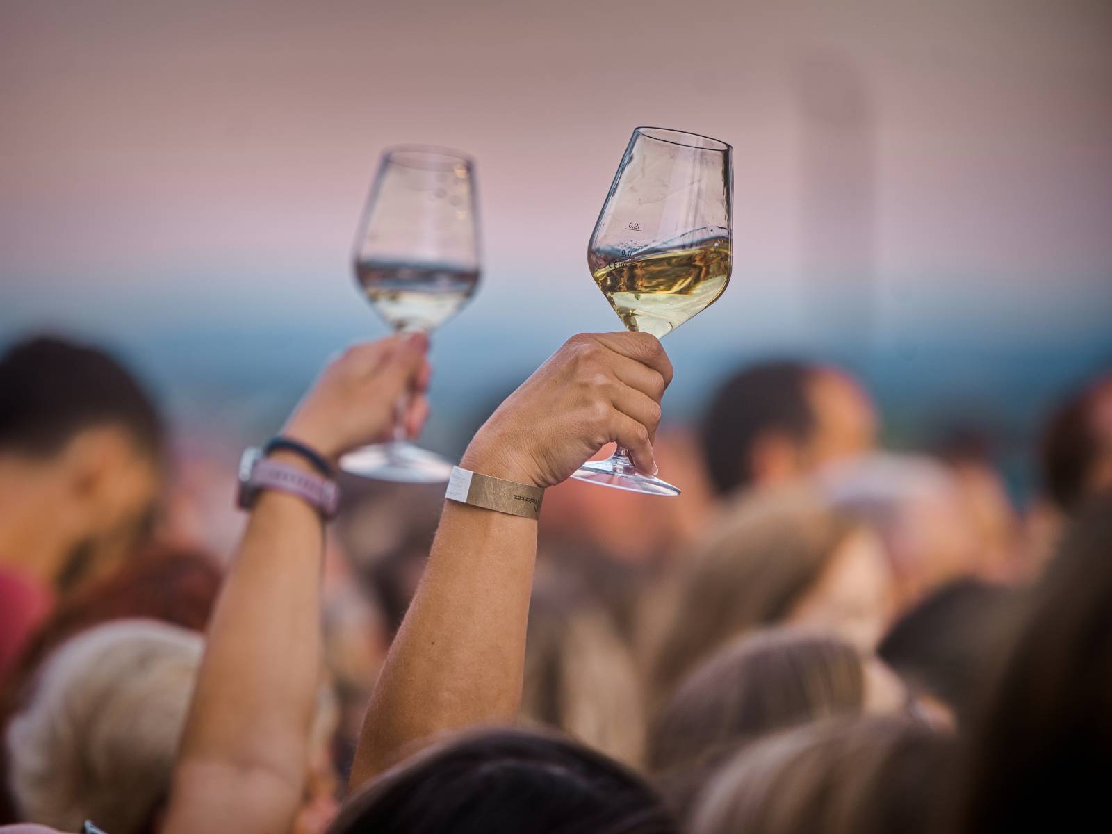 Hudba na vinicích přivezla do Znojma kapelu Jelen a zpěvačku Adélu Orlovou