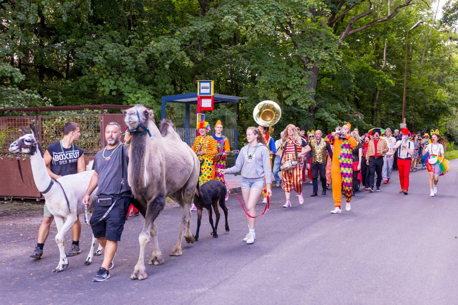Velbloud, lamy i cirkusový průvod. Petr Janda si pro kolegy připravil zahradní párty