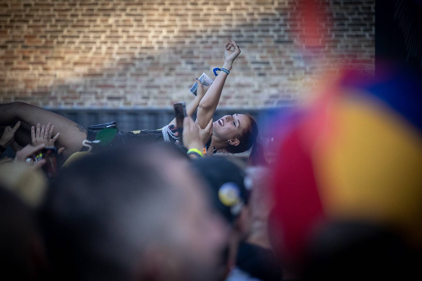 Bláznivá show Gutalax i pád zpěváka a rozbitá hlava kytaristy Landmvrks. Druhý den Brutal Assault vyvrcholil koncertem Gojiry