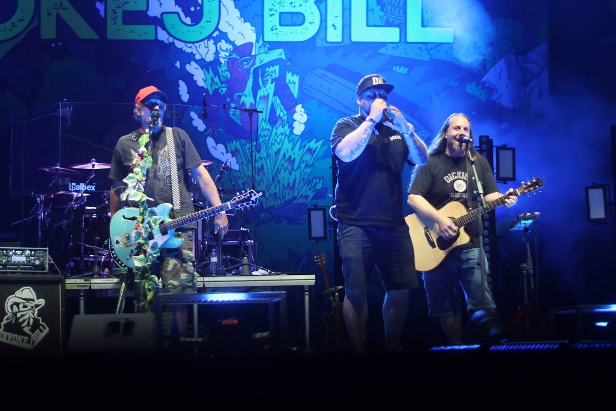 Hrady CZ podvacáté na Veveří. Zahráli Divokej Bill, Dymytry, Marpo nebo Ben Cristovao