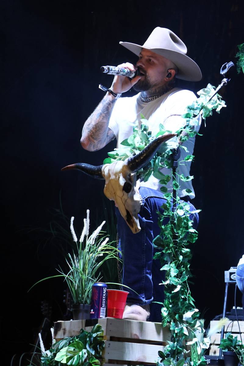 Hrady CZ podvacáté na Veveří. Zahráli Divokej Bill, Dymytry, Marpo nebo Ben Cristovao