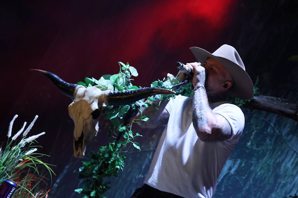 Hrady CZ podvacáté na Veveří. Zahráli Divokej Bill, Dymytry, Marpo nebo Ben Cristovao