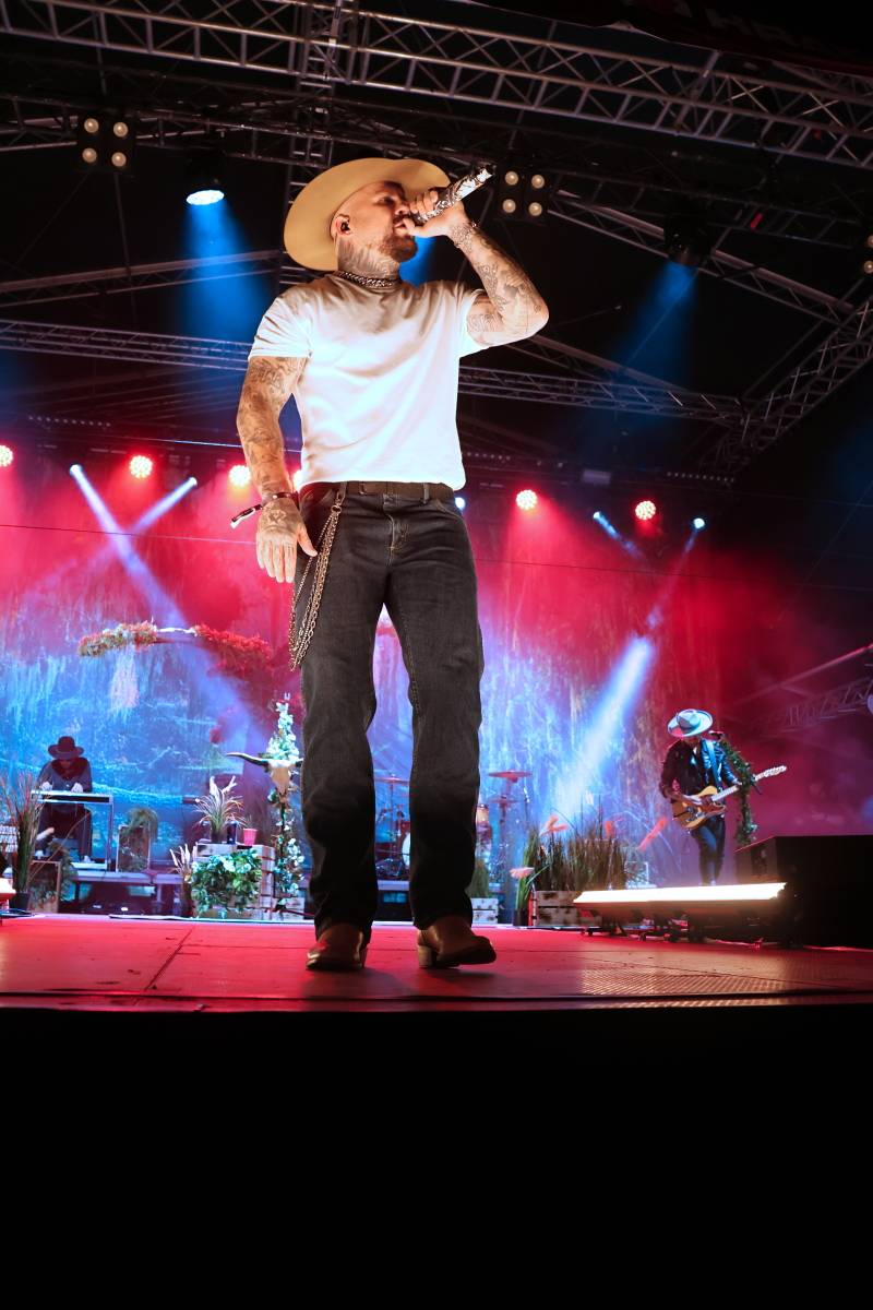 Hrady CZ podvacáté na Veveří. Zahráli Divokej Bill, Dymytry, Marpo nebo Ben Cristovao