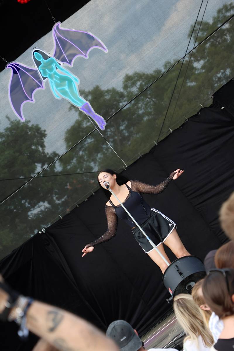 Hrady CZ podvacáté na Veveří. Zahráli Divokej Bill, Dymytry, Marpo nebo Ben Cristovao