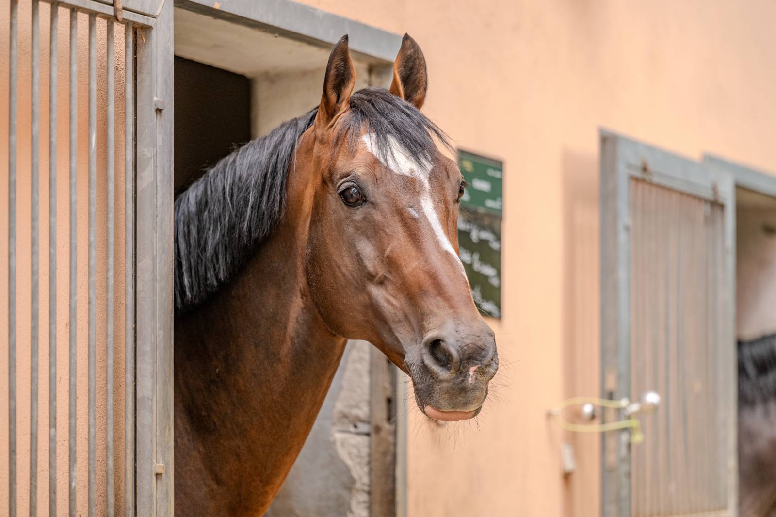 Ve Všeticích odstartovaly Krásný ztráty. J.A.R. vystoupili bez Oto Klempíře, bavili i Michal Prokop s Framus Five a Pan Lynx