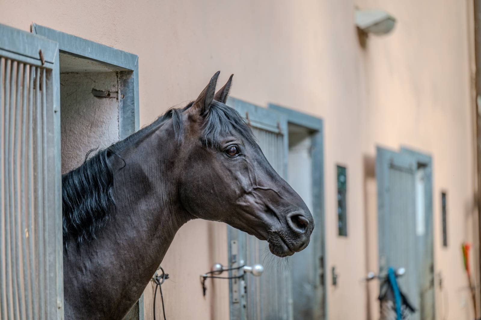 Ve Všeticích odstartovaly Krásný ztráty. J.A.R. vystoupili bez Oto Klempíře, bavili i Michal Prokop s Framus Five a Pan Lynx