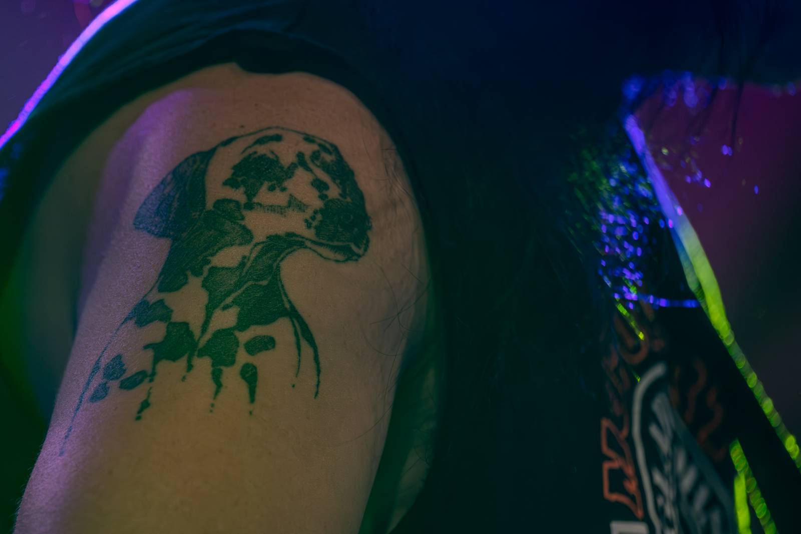 Ve Všeticích odstartovaly Krásný ztráty. J.A.R. vystoupili bez Oto Klempíře, bavili i Michal Prokop s Framus Five a Pan Lynx