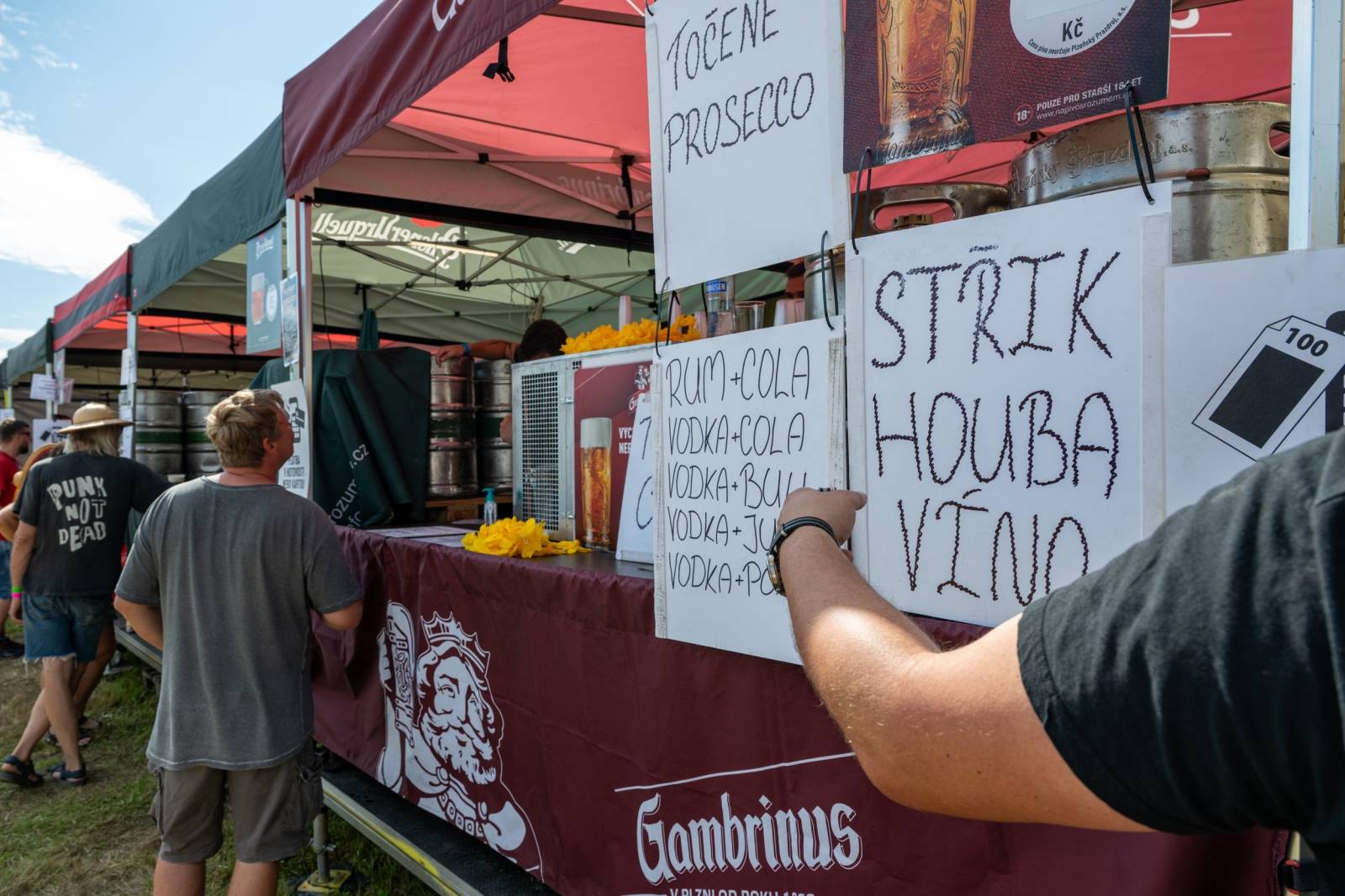 Keltská noc se přestěhovala do Vysoké nad Jizerou. Hvězdami prvního dne byli Mig 21, Vypsaná fiXa, Totální nasazení, Alkehol i Krucipüsk