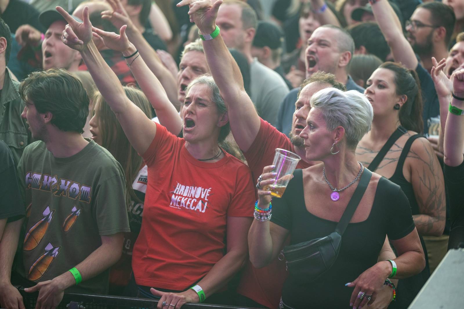 Keltská noc se přestěhovala do Vysoké nad Jizerou. Hvězdami prvního dne byli Mig 21, Vypsaná fiXa, Totální nasazení, Alkehol i Krucipüsk