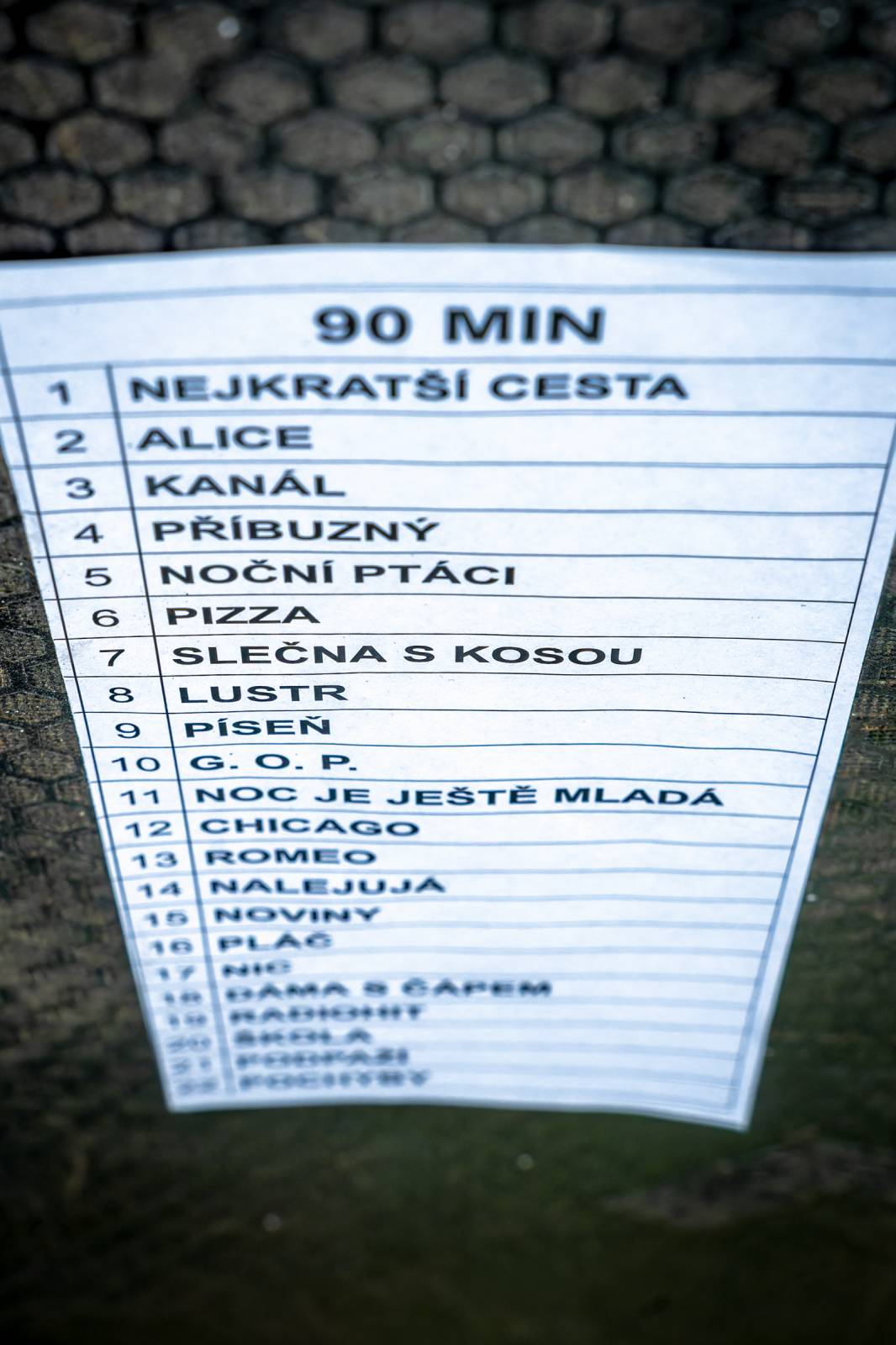 Ska pod hvězdami. Sto zvířat vzpomínalo v Riegrových sadech na Jana Kalinu