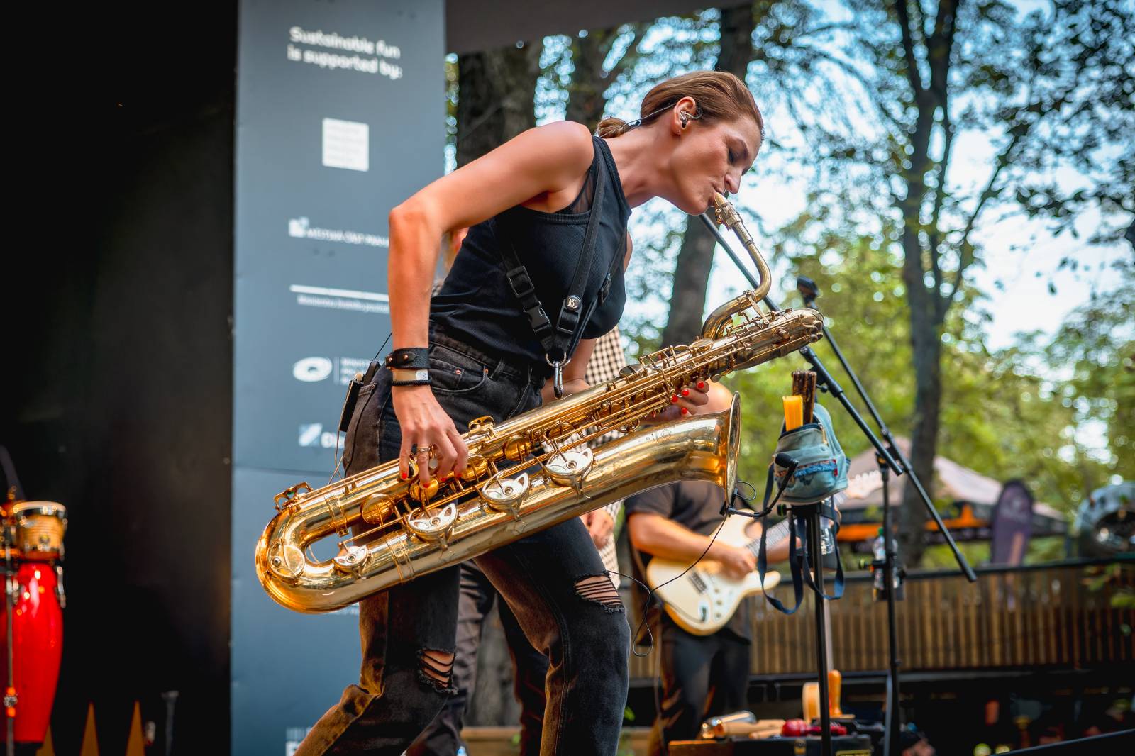 Ska pod hvězdami. Sto zvířat vzpomínalo v Riegrových sadech na Jana Kalinu