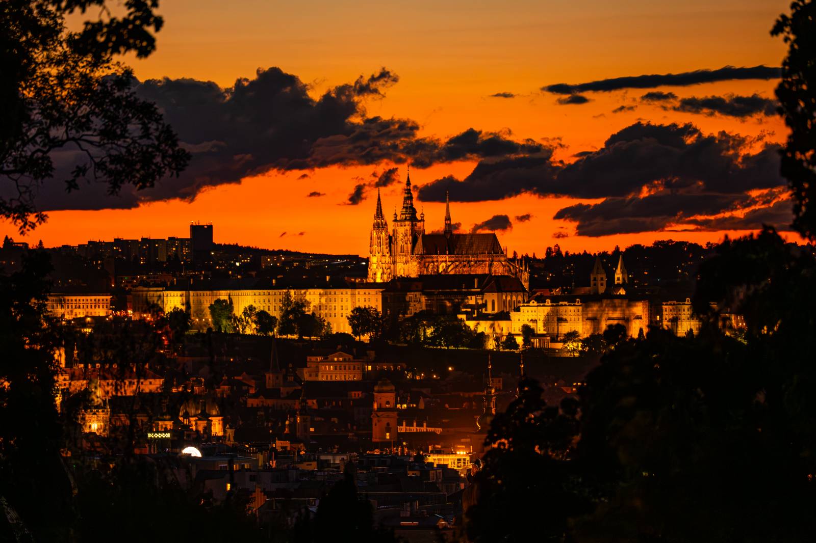 Michal Hrůza pozval fanoušky do Riegrových sadů, dorazila i Klára Vytisková