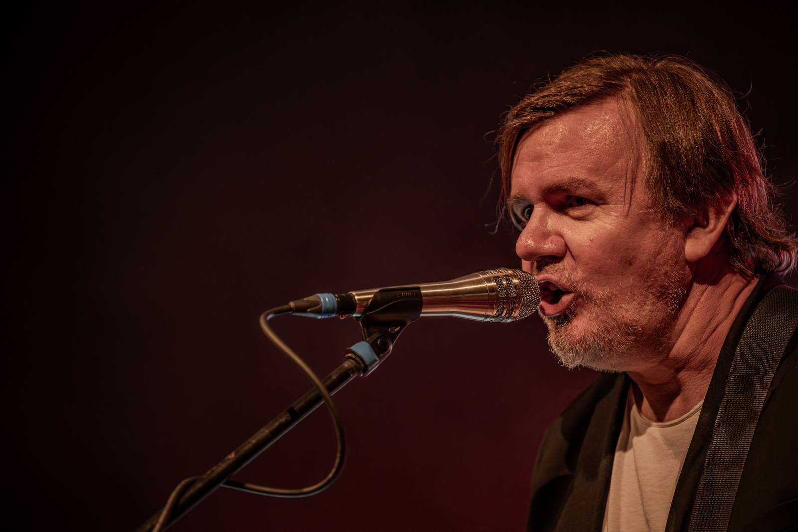 Michal Hrůza pozval fanoušky do Riegrových sadů, dorazila i Klára Vytisková