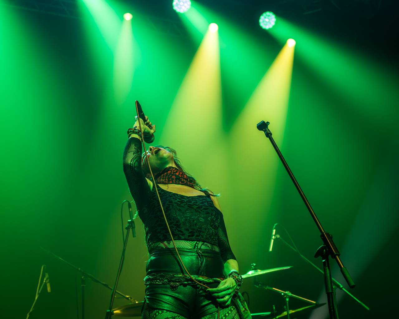 Ian Paice a jeho Purpendicular zahráli v Plzni to nejlepší z repertoáru Deep Purple