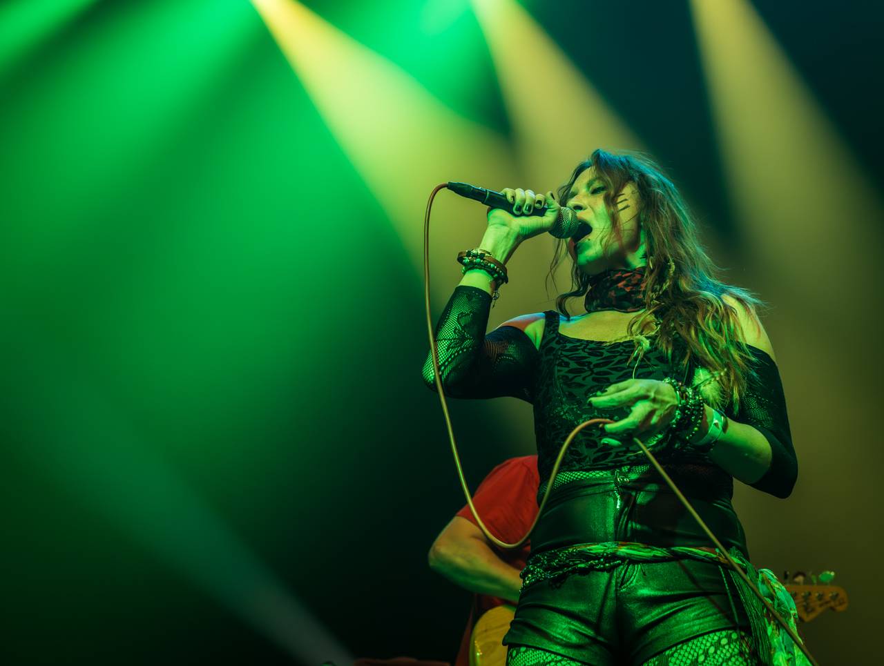 Ian Paice a jeho Purpendicular zahráli v Plzni to nejlepší z repertoáru Deep Purple