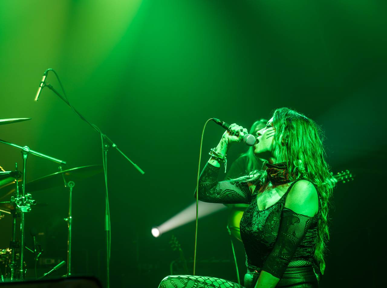 Ian Paice a jeho Purpendicular zahráli v Plzni to nejlepší z repertoáru Deep Purple