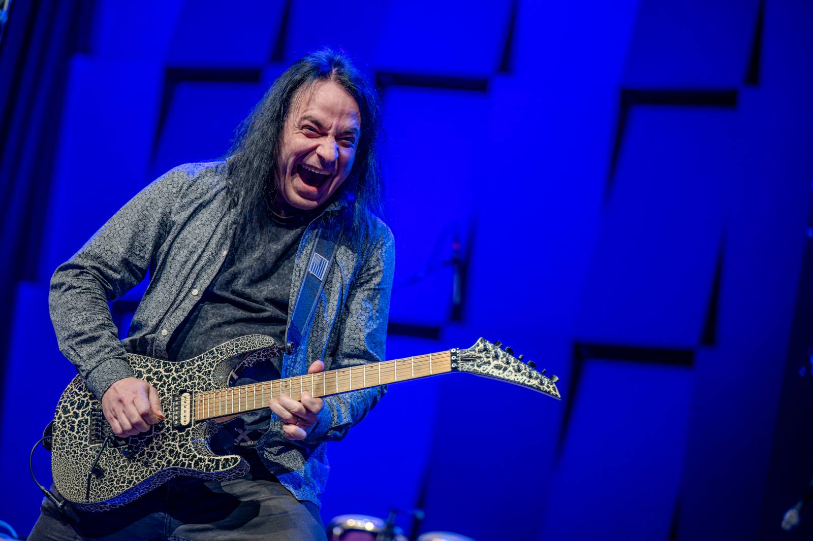 Michal Prokop učaroval Foru Karlín a převzal si platinovou desku za album Ostraka